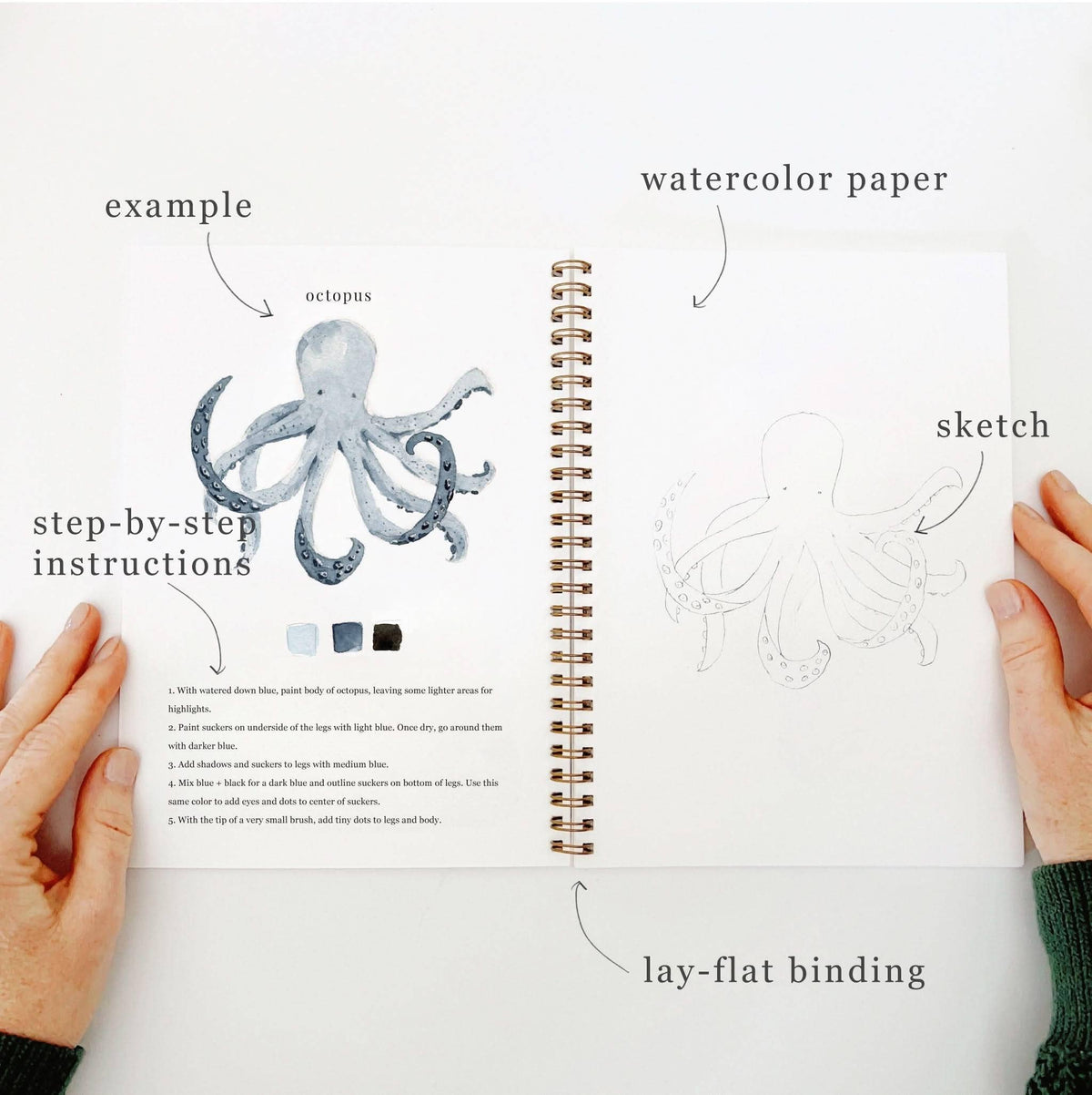 Seaside Watercolor Workbook | Emily Lex