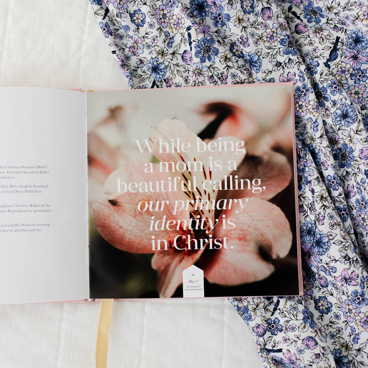 Steadfast Motherhood Devotional