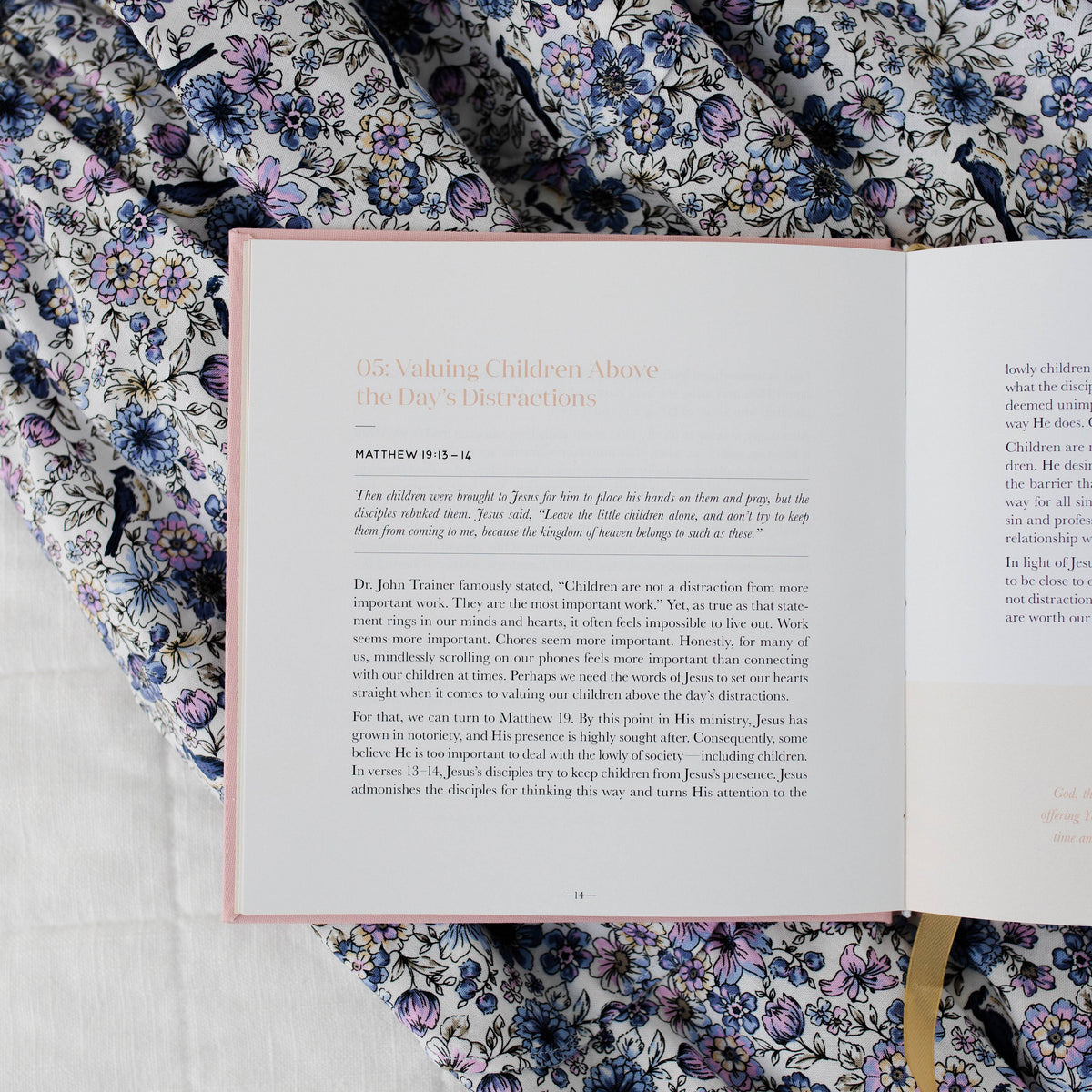 Steadfast Motherhood Devotional
