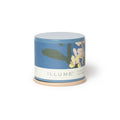 Citrus Crush Tin Candle