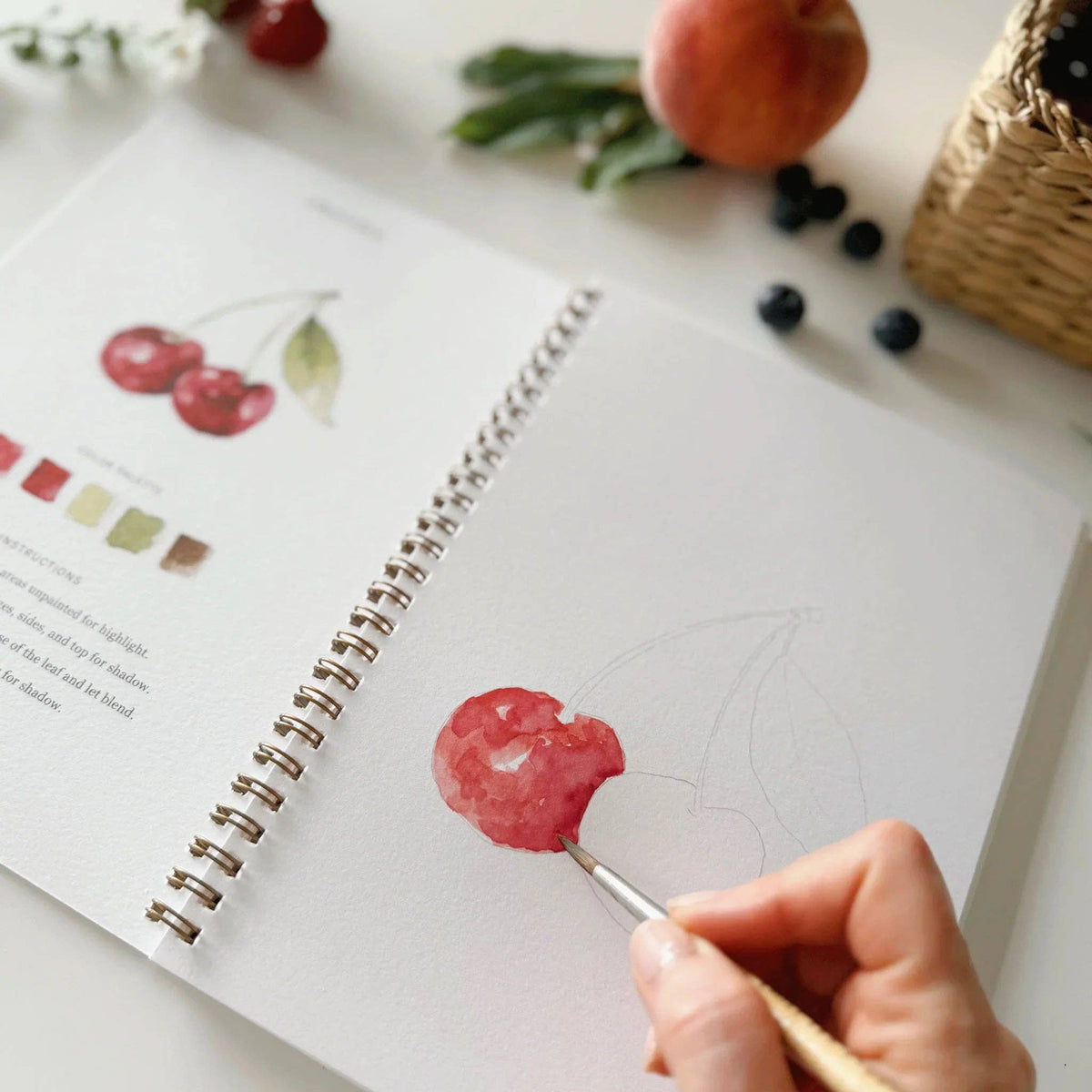 Fruit Watercolor Workbook | Emily Lex