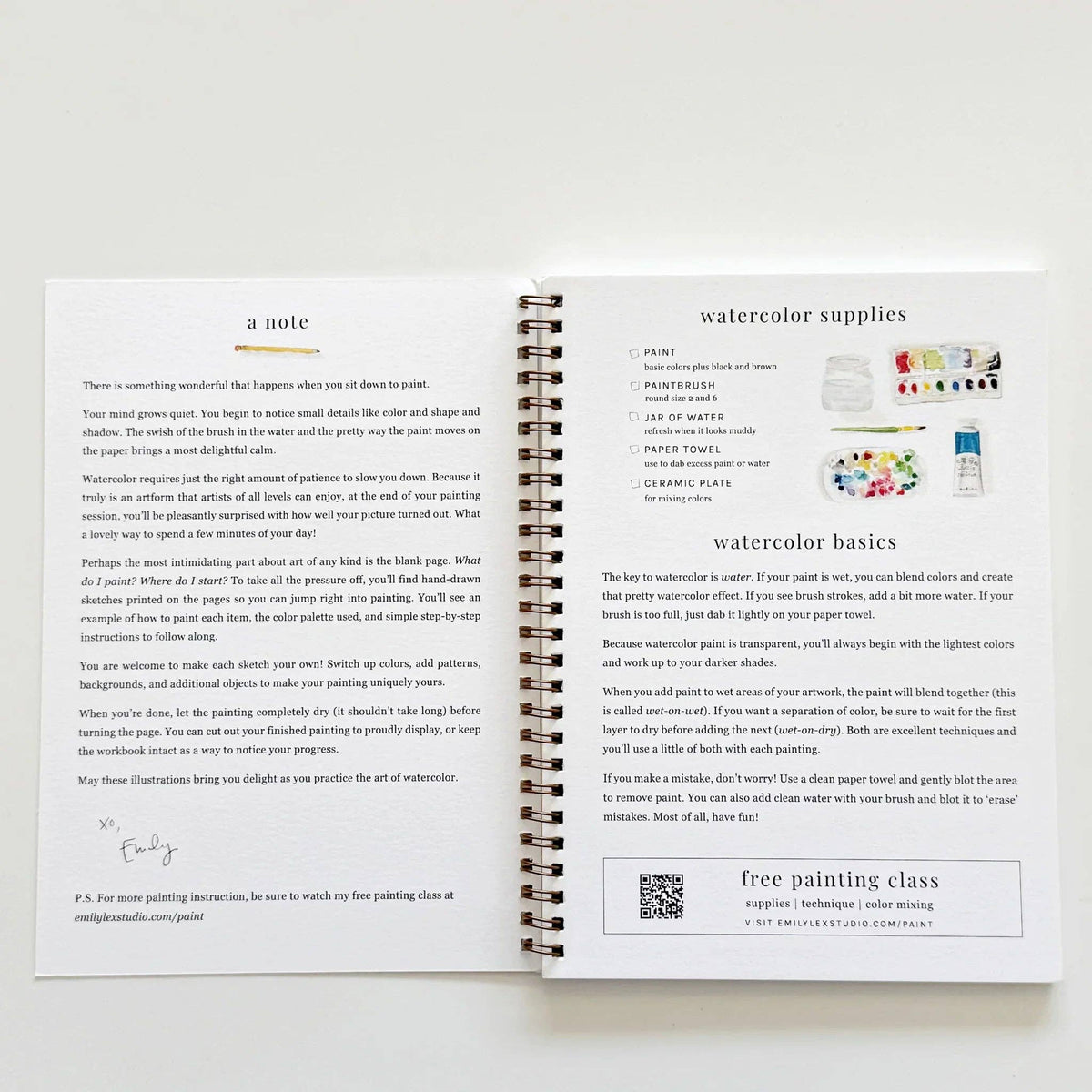 Fruit Watercolor Workbook | Emily Lex