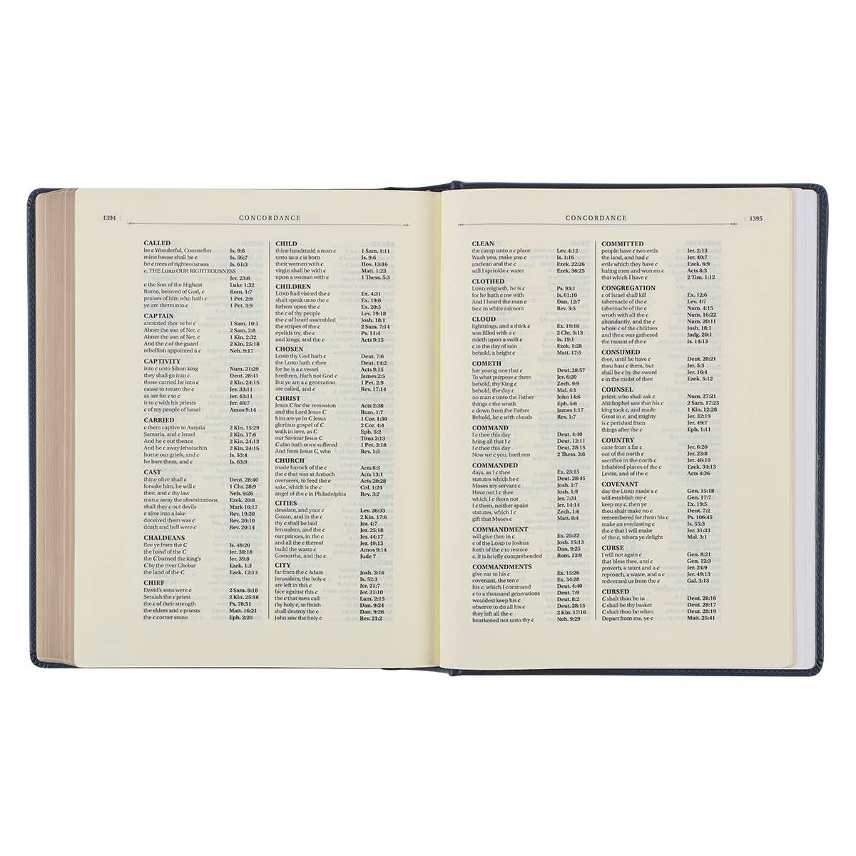 Large Print King James Version Note-Taking Bible