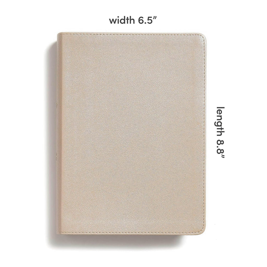 She Reads Truth Bible - Leather Touch | Indexed