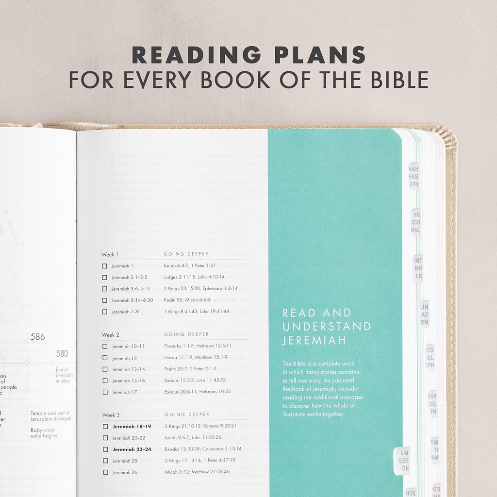She Reads Truth Bible - Leather Touch | Indexed