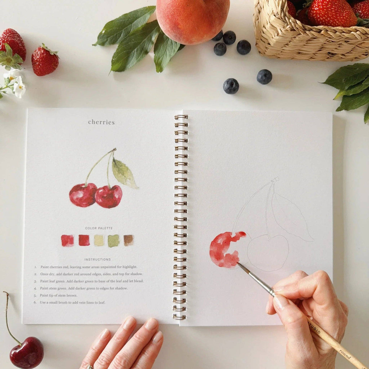 Fruit Watercolor Workbook | Emily Lex