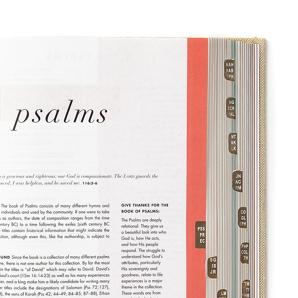 She Reads Truth Bible | Linen Hardcover