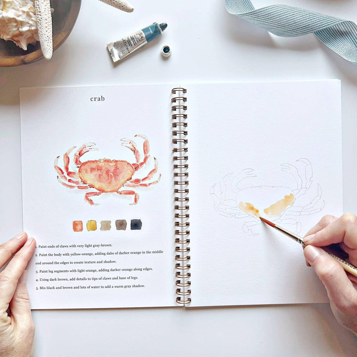 Seaside Watercolor Workbook | Emily Lex