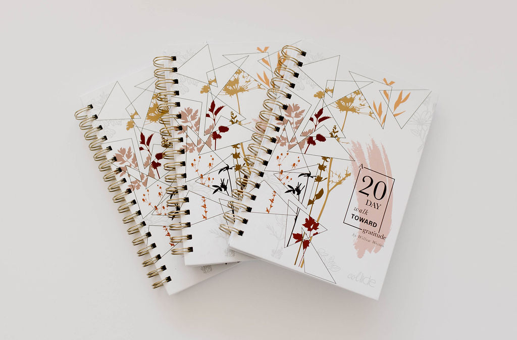 A 20 Day Walk Toward Gratitude: A Devotional