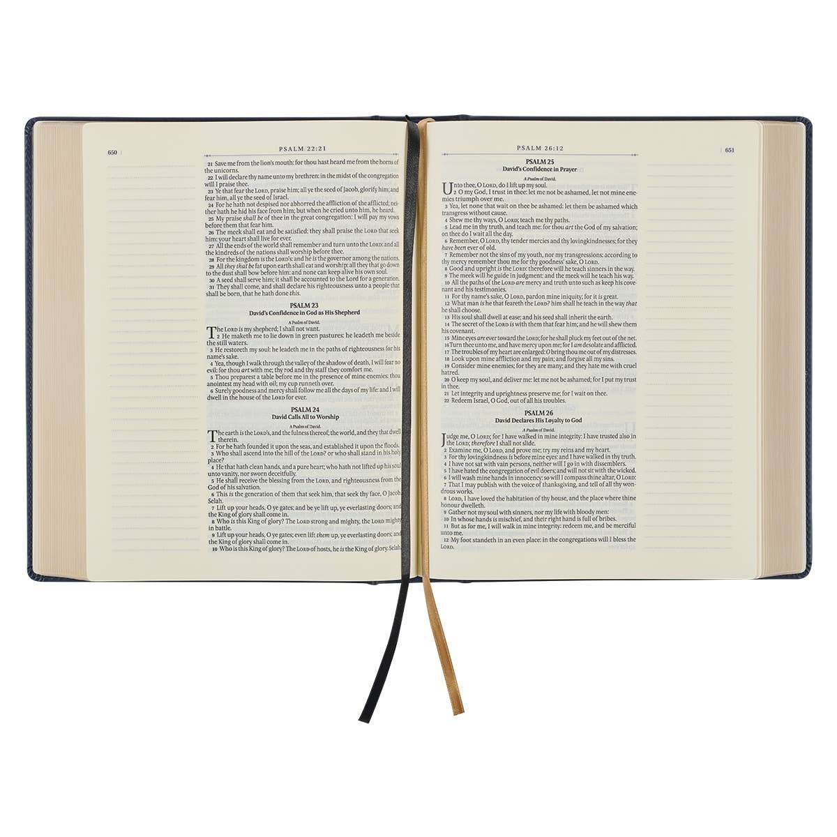 Large Print King James Version Note-Taking Bible