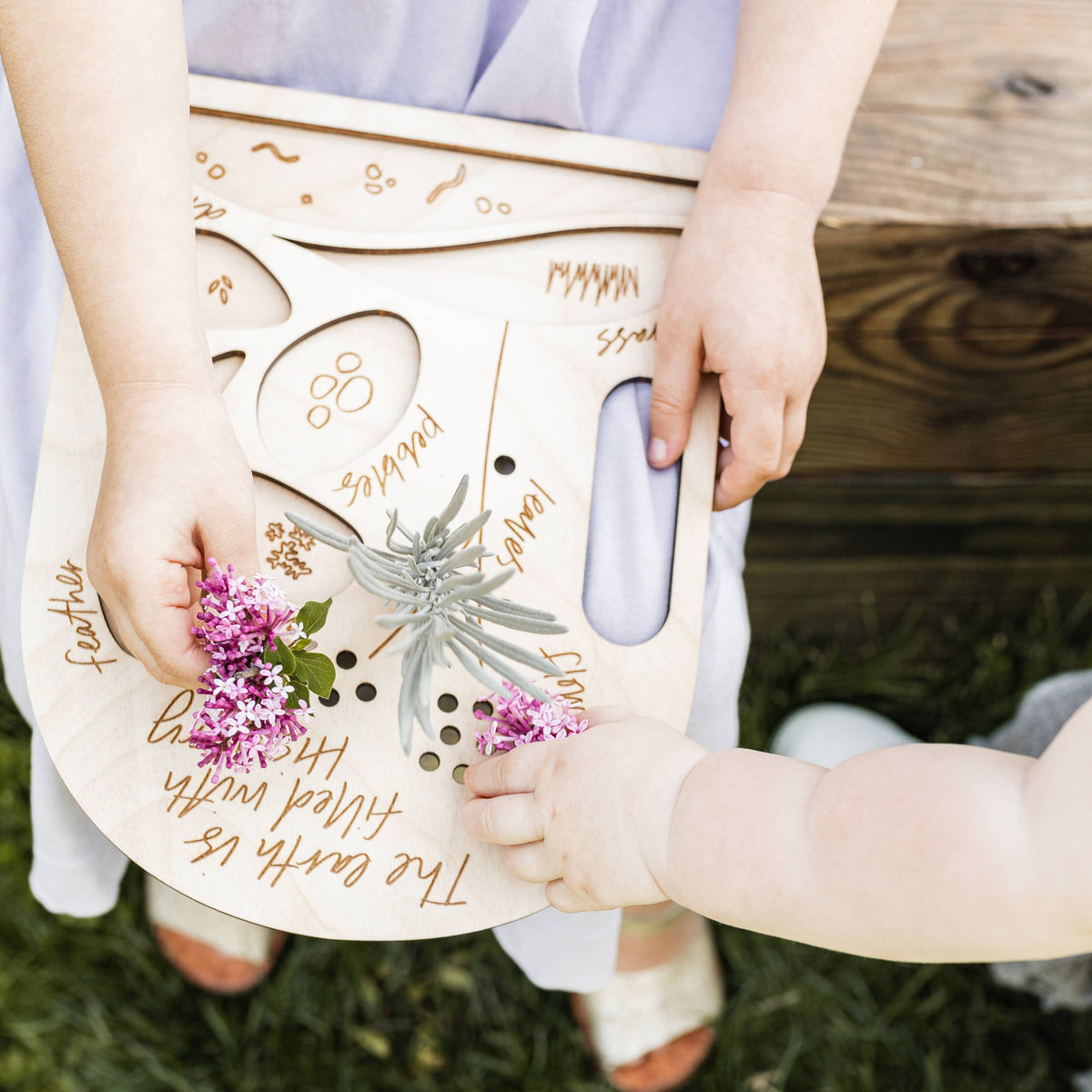 Kids Nature Collection Board