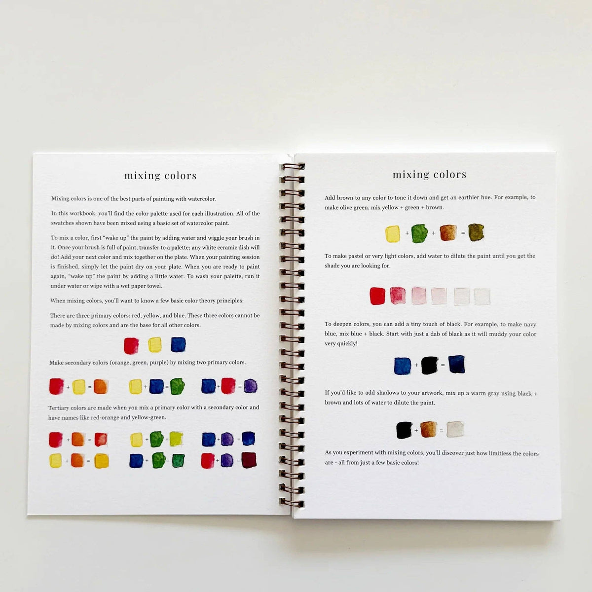 Fruit Watercolor Workbook | Emily Lex