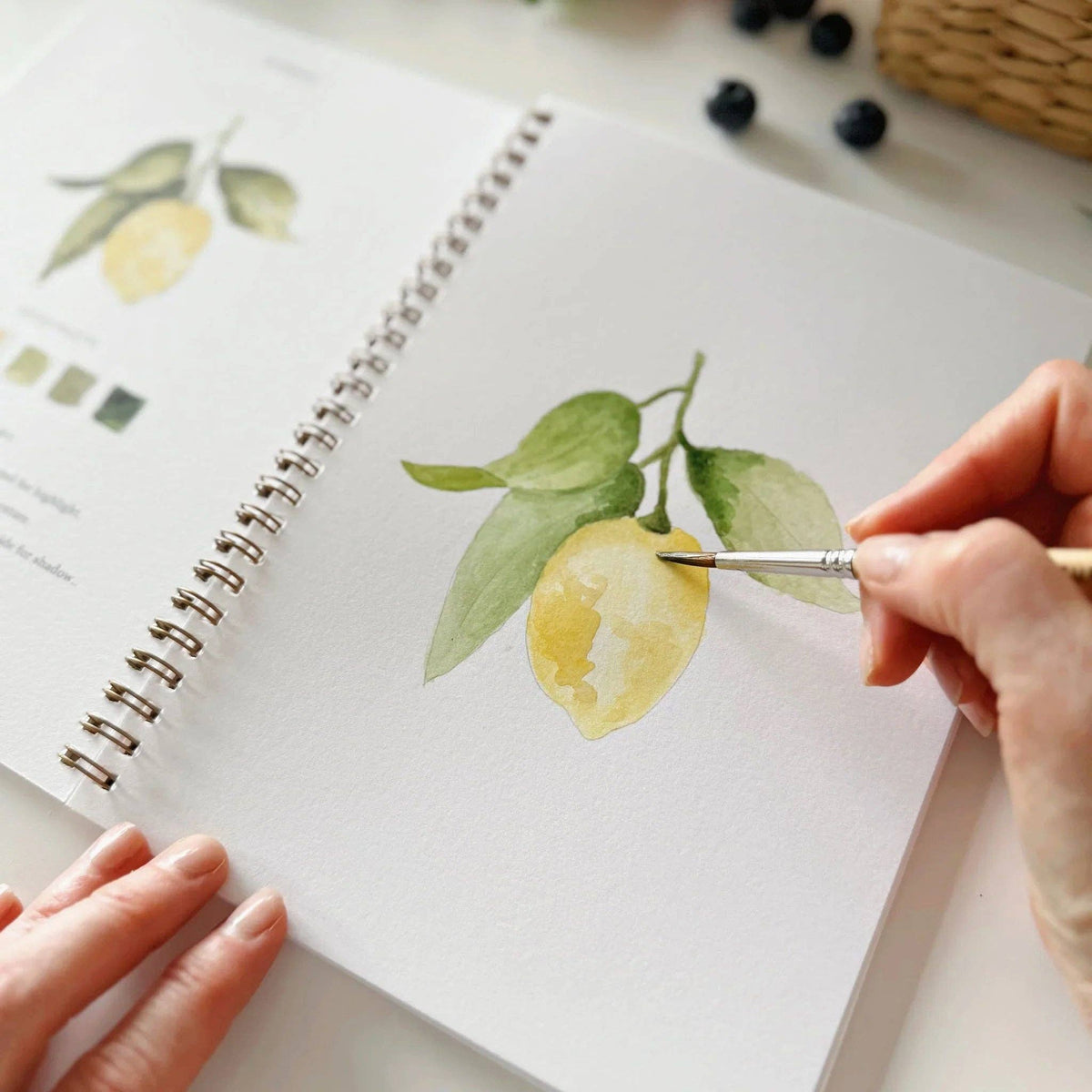 Fruit Watercolor Workbook | Emily Lex