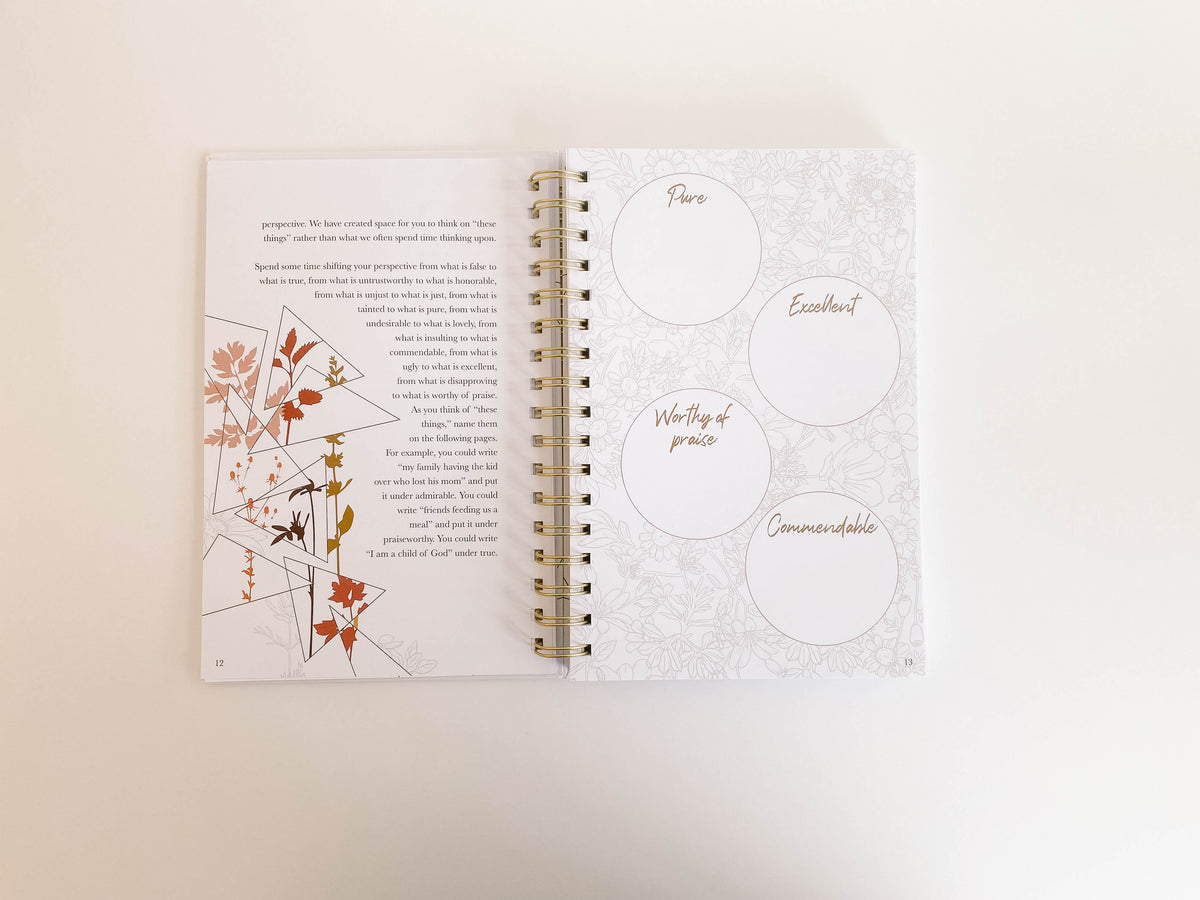 A 20 Day Walk Toward Gratitude: A Devotional