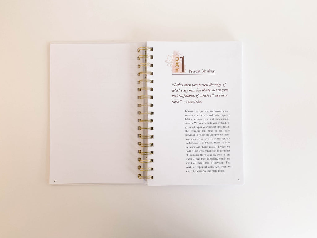 A 20 Day Walk Toward Gratitude: A Devotional